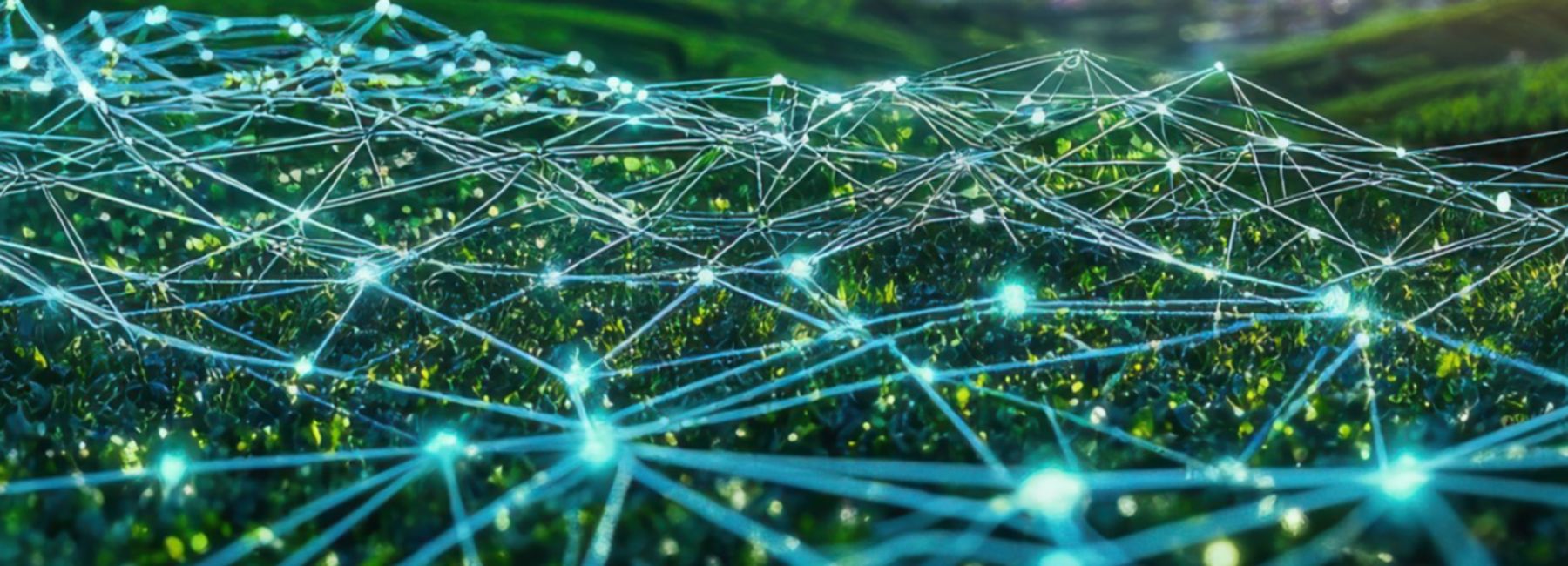 digitally connected landscape | DXC Technology Insights